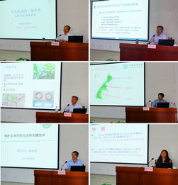 技術(shù)推廣服務(wù)中心 推動技術(shù)創(chuàng)新與產(chǎn)業(yè)升級的重要平臺